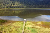 Penampakan danau Tman Hidup di Gunung Argopuro. Foto: tangkapan layar youtubr rikas harsa